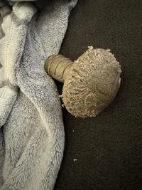 A textured, mushroom-shaped real wood dog chew toy resting on a grey carpet next to a blanket.