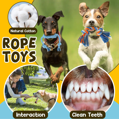 Infographic showing the benefits of natural cotton rope toys for dogs, illustrating interactive tug-of-war play and how the braided ropes help clean a teething puppy's teeth.