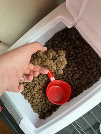 Close-up customer review photo showing the realistic texture and brown color of the square-shaped grain-free dog food kibble pieces.