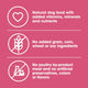 Product feature icons showing Nature's Recipe dog food has no added grain, corn, wheat, soy, poultry by-product meal, or artificial preservatives.