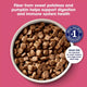 Close-up top view of a white bowl filled with Nature's Recipe grain-free square dry dog food kibble against a pink background.