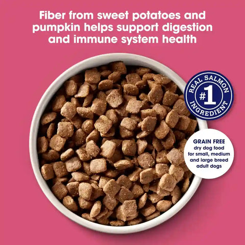 Close-up top view of a white bowl filled with Nature's Recipe grain-free square dry dog food kibble against a pink background.