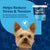 NaturVet Calming supplement packaging with a dog.