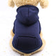Navy blue hoodie on a small dog with a white background
