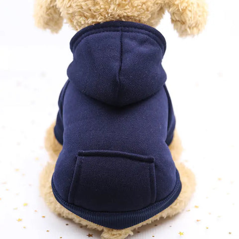 Navy blue hoodie on a small dog with a white background