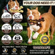 Two pit bulls running in the grass with durable, non-toxic, dishwasher-safe nylon chew toys.