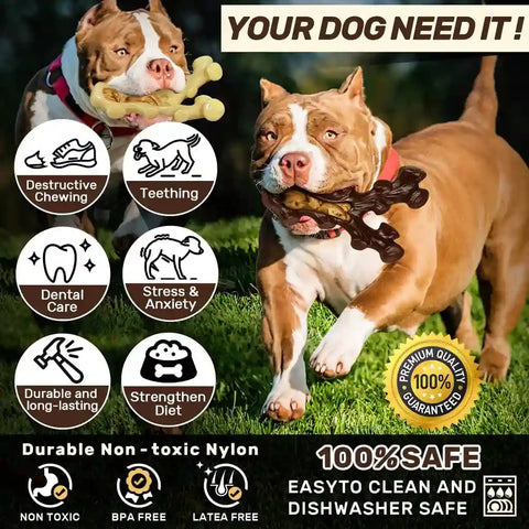 Two pit bulls running in the grass with durable, non-toxic, dishwasher-safe nylon chew toys.