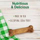 Single Nylabone healthy edible chew on a wooden surface highlighting "Made in USA" and "Occupying Chew Treat."