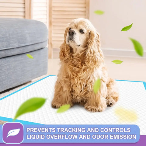 Long-haired dog sitting calmly on a blue puppy pad with an overlay highlighting liquid overflow and odor control tracking prevention.