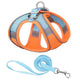 Orange and blue dog harness with matching leash on white background.