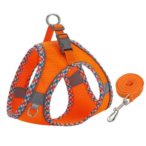 Orange dog harness and leash set on white background.
