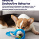Corgi puppy using the Orka Dental Links toy to redirect destructive chewing behavior.