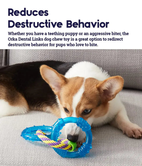 Corgi puppy using the Orka Dental Links toy to redirect destructive chewing behavior.