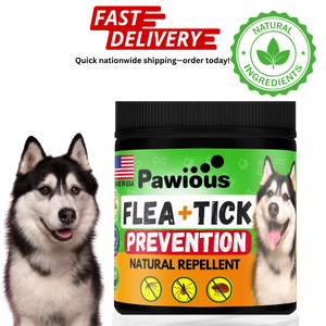 Flea and Tick Prevention for Dogs Chewables   Natural Dog Flea and
