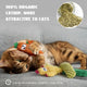 A tabby cat happily rolling and biting an orange cactus-shaped Pawsible plush toy filled with 100 percent organic catnip.