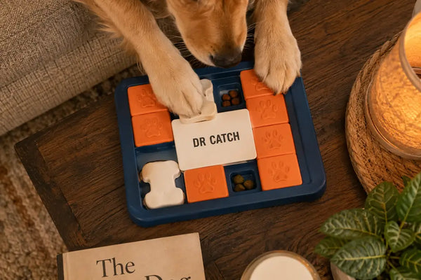 DR CATCH sliding treat IQ dog puzzle toy with paws