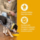 A dog eating from a bowl with text describing crunchy kibbles that clean teeth and support the immune system.