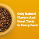 Close-up view of a dog bowl filled with multi-colored Pedigree dry dog food kibble made with natural flavors.
