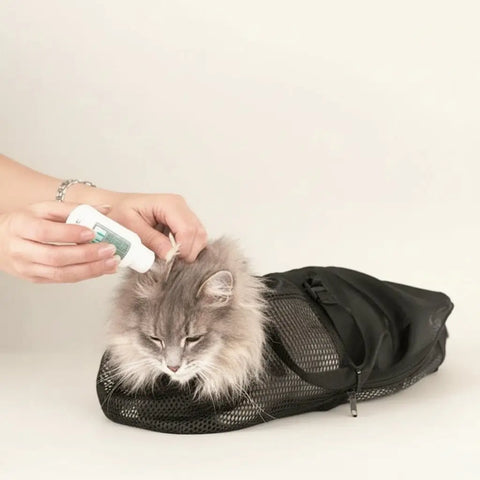 Person petting a cat with a bottle, with text and branding elements.