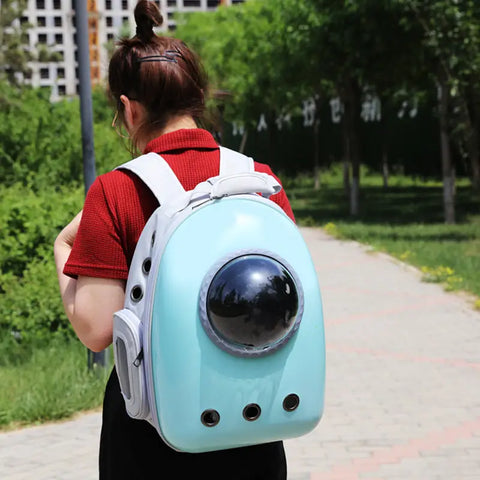 Person wearing light blue pet backpack with black sphere on path.