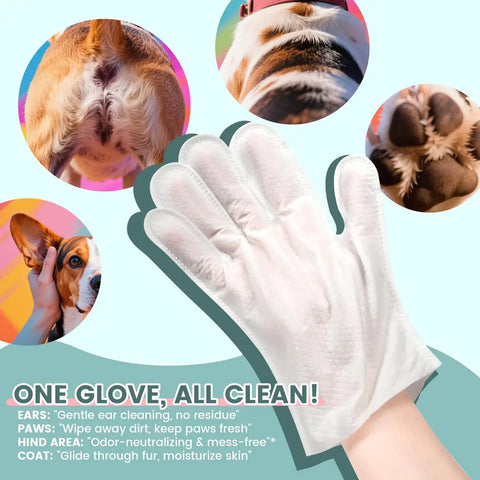 Product infographic showing a wearable pet grooming glove wipe with specific application circles for a beagle dog's ears, paws, hind area, and coat