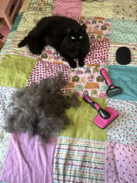 A demonstration showing a thick layer of cat fur being pushed off the brush head using the one-click cleaning button.