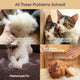 Infographic showing common pet issues like matted fur, hairballs, and heavy seasonal shedding seasons