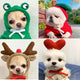 Pet sweater collection in animal designs including bunny, reindeer, bear.