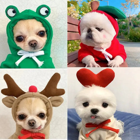 Pet sweater collection in animal designs including bunny, reindeer, bear.