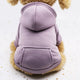 Pet wearing a purple hoodie on a light background.