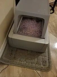 Customer image of the ScoopFree system featuring the grey privacy hood and litter trapping mat.