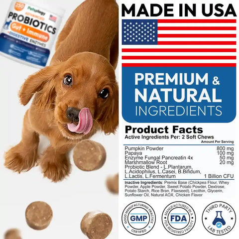 Back label product facts for Petsology dog chews showing 1 billion CFU probiotics, pumpkin powder, and papaya dosage alongside GMP certified and FDA registered facility stamps.