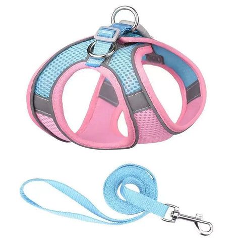 Pink and blue dog harness and leash set on white background.
