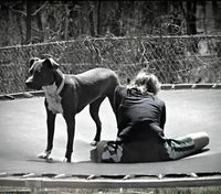 Black and white customer lifestyle photo of a Pit Bull mix dog standing next to a child sitting on an outdoor backyard trampoline.