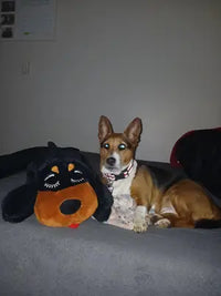 A tan American Pit Bull Terrier puppy sitting on a blue patterned rug while holding a soft brown plush dog toy in its mouth.