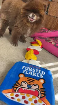 Customer review photo of a fluffy chocolate Pomeranian playing with an unrolled Fursted Flakes plush cereal box dog snuffle toy.