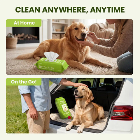 Two-panel image demonstrating PawSono pet wipes used for grooming a Golden Retriever at home on a rug and on the go in a car trunk.