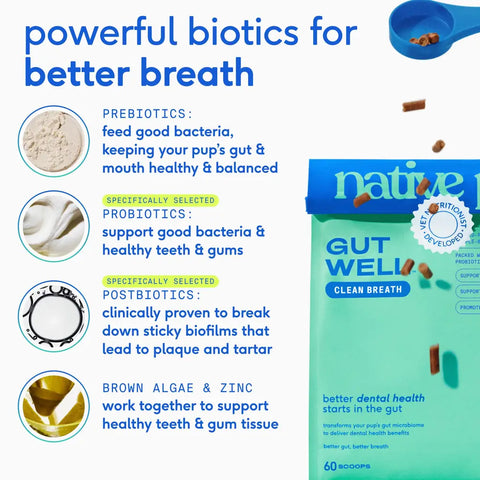 Infographic explaining how prebiotics, probiotics, and postbiotics in Native Pet GutWell break down plaque and tartar in dogs.