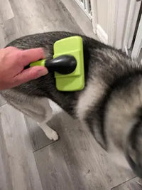The retail packaging for a professional pet grooming brush, showing the product image and "How to Use" instructions.