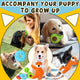 A lifestyle collage of happy puppies and small dogs playing and growing up with various toys from the 9-pack set, including the plush avocado, donut, and fox toys.
