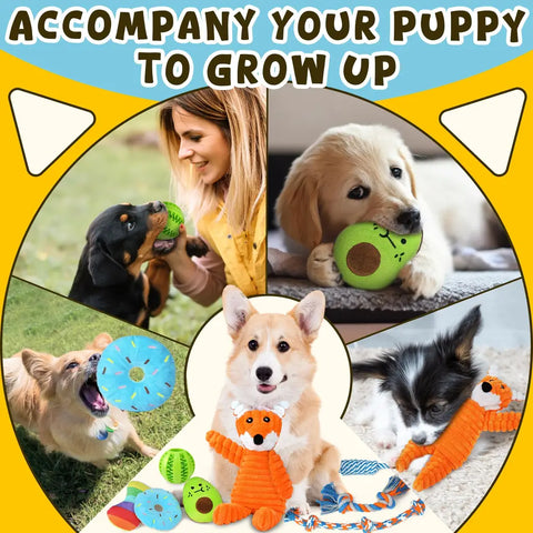 A lifestyle collage of happy puppies and small dogs playing and growing up with various toys from the 9-pack set, including the plush avocado, donut, and fox toys.