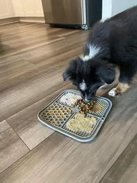 A black and white puppy eating a mix of dry dog kibble and pureed food from a gray quadrant-designed silicone lick mat placed flat on a laminate wood kitchen floor.