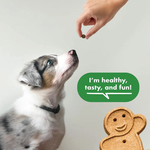 A person hand-feeding a healthy low-calorie Buddy Trainers treat to a puppy during a training session.