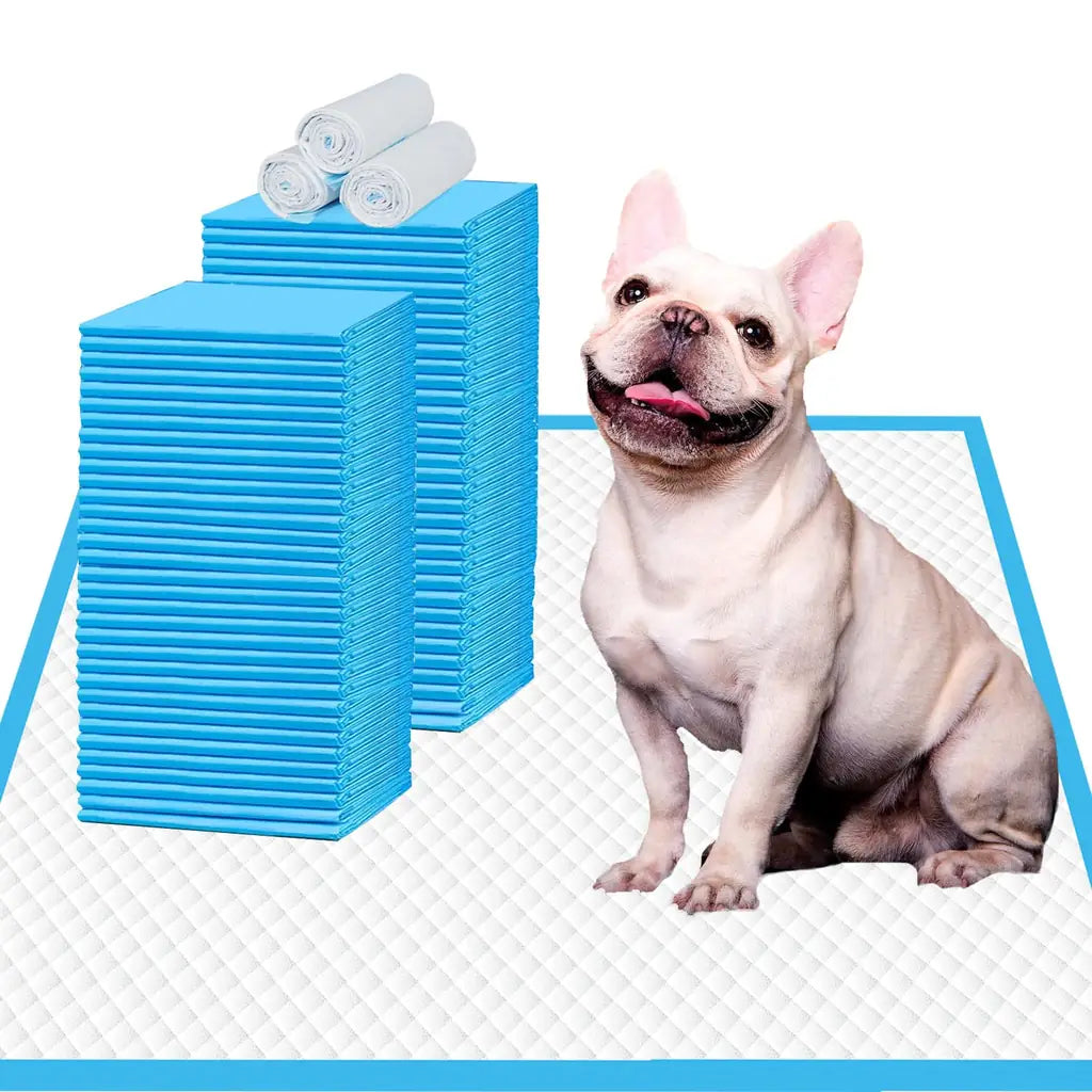 White French Bulldog sitting on an absorbent training pad next to stacked blue pee pads and disposal waste bags