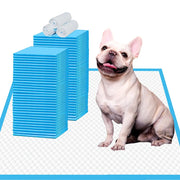 White French Bulldog sitting on an absorbent training pad next to stacked blue pee pads and disposal waste bags.