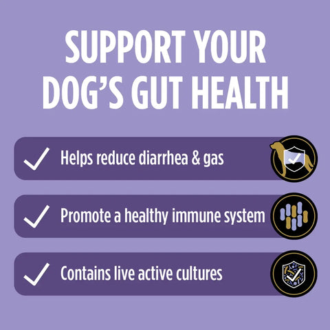 Infographic showing the gut health benefits of Purina Pro Plan FortiFlora for dogs, including reducing diarrhea and gas, promoting a healthy immune system, and active live cultures