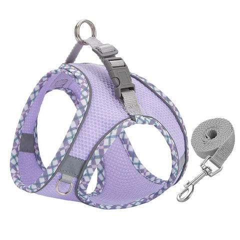 Purple dog harness and leash set on a white background