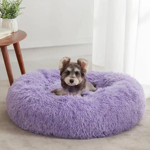 Small dog lounging happily inside a bright purple fluffy calming donut dog bed