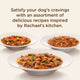 Three white bowls filled with textured Rachael Ray Nutrish wet dog food stews showing real meat chunks and vegetables.