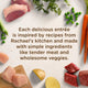 Marketing graphic for Rachael Ray Nutrish wet dog food showing fresh raw chicken, beef chunks, potatoes, carrots, and peas surrounding text about simple ingredients and wholesome stews.